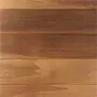 Tulipier Thermowood